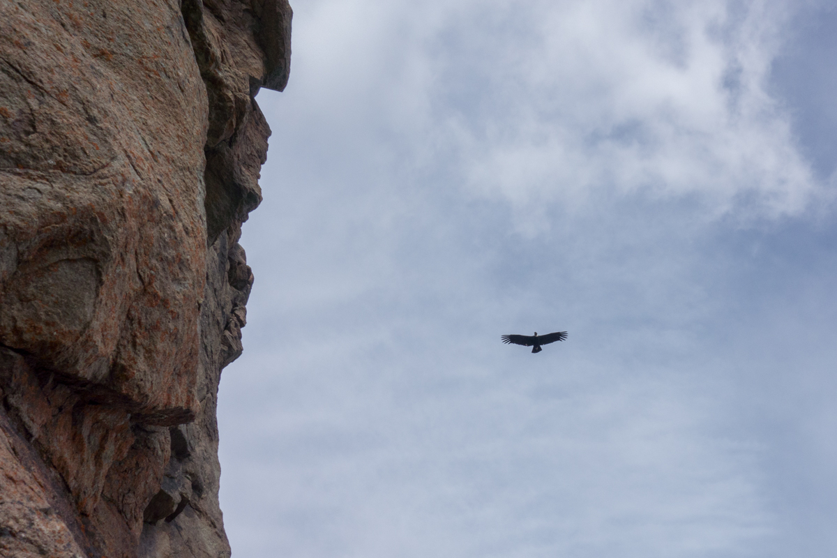 Condore beobachten uns beim klettern