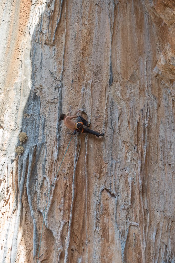 Stefan in Paranihida 8a Elona