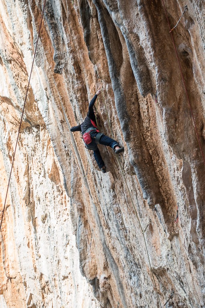 Oliver in Hl. Dreifaltigkeit 7b, Elona