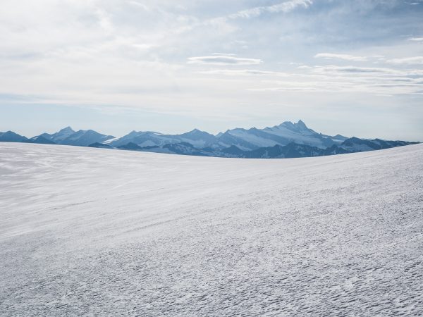 Blick zum Großglockner