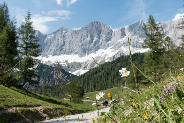 Dachstein Besteigung