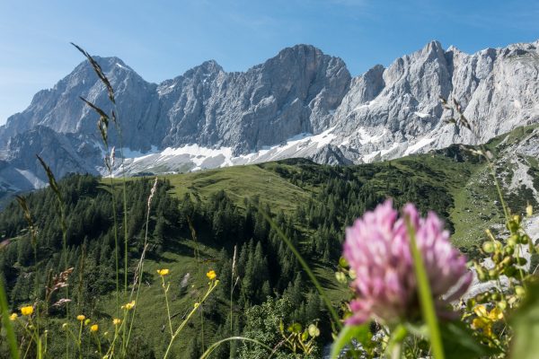 Dachstein Besteigung